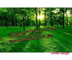 رزرو در حد رايگان هتل مشهد