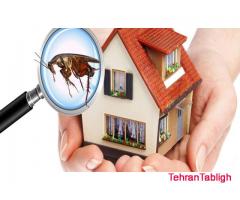 سمپاشی تخصصی