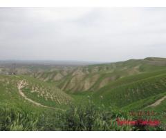 تورهای ویژه گلستان گردی