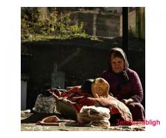 تورهای ویژه گلستان گردی